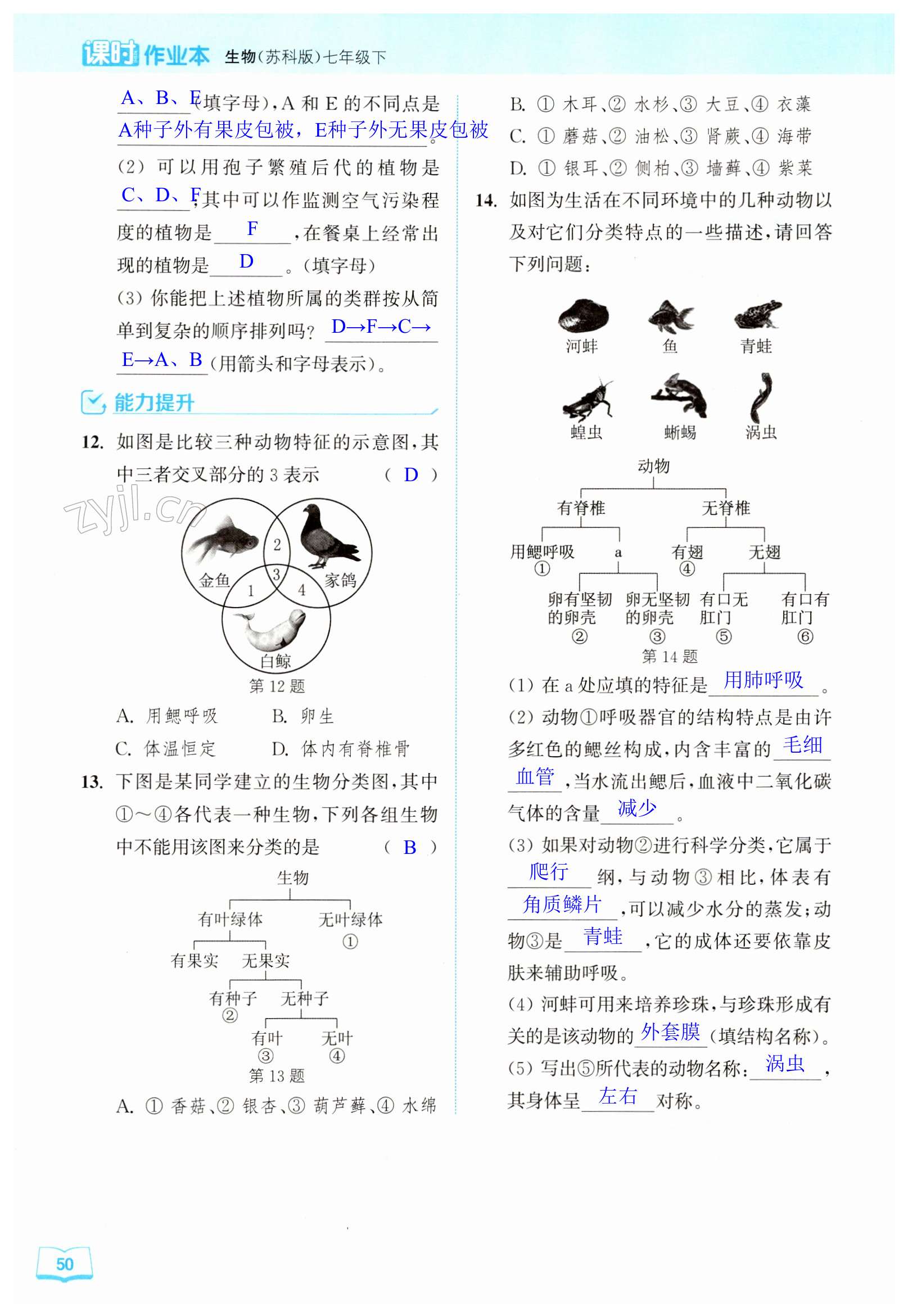 第50页