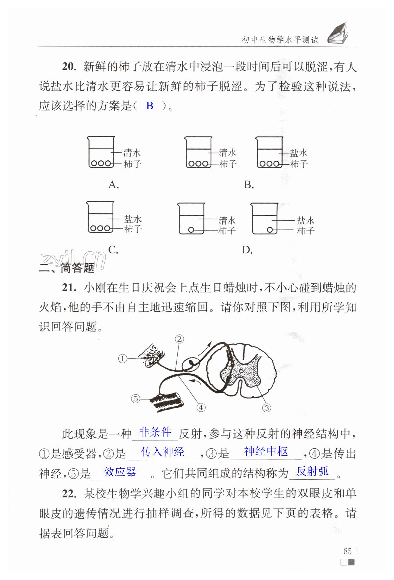 第85页