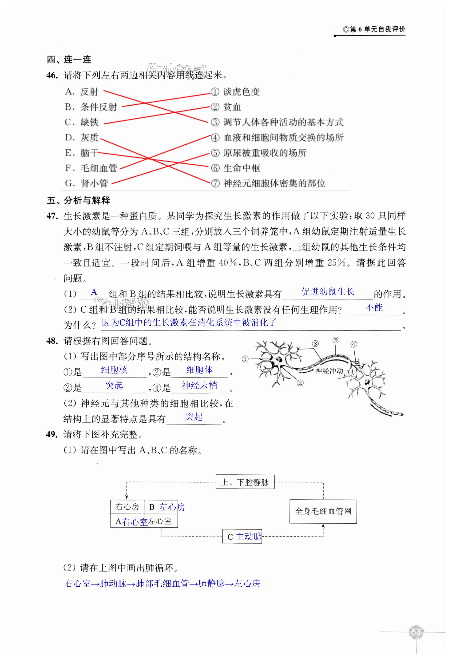 第63页