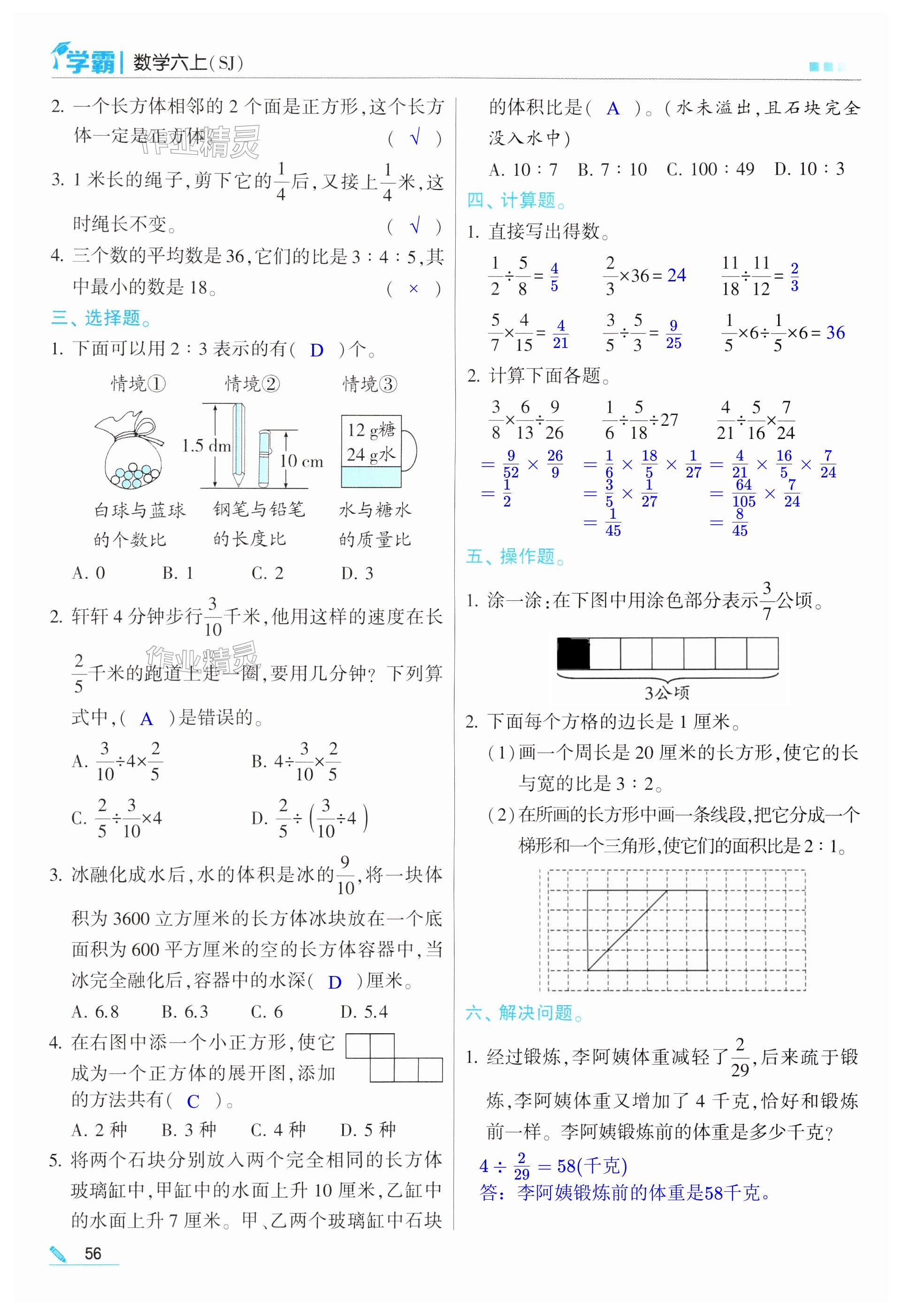 第56页