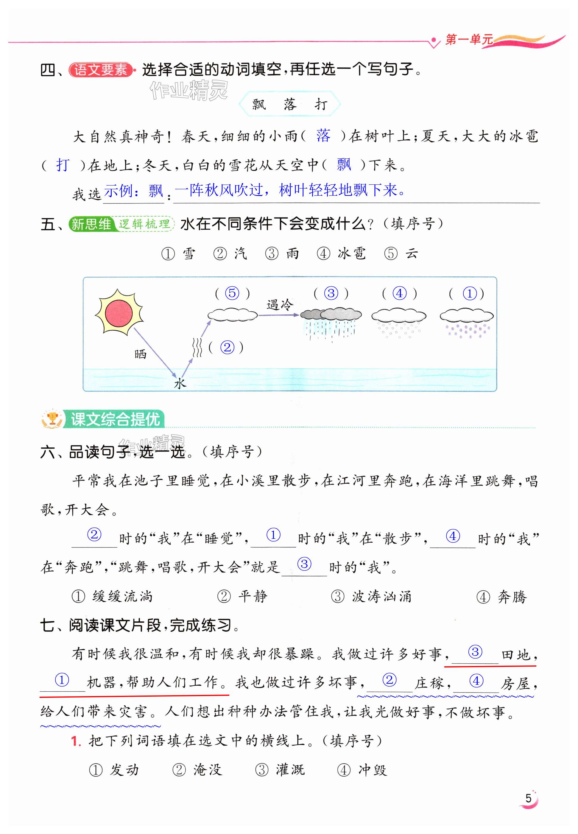 第5页