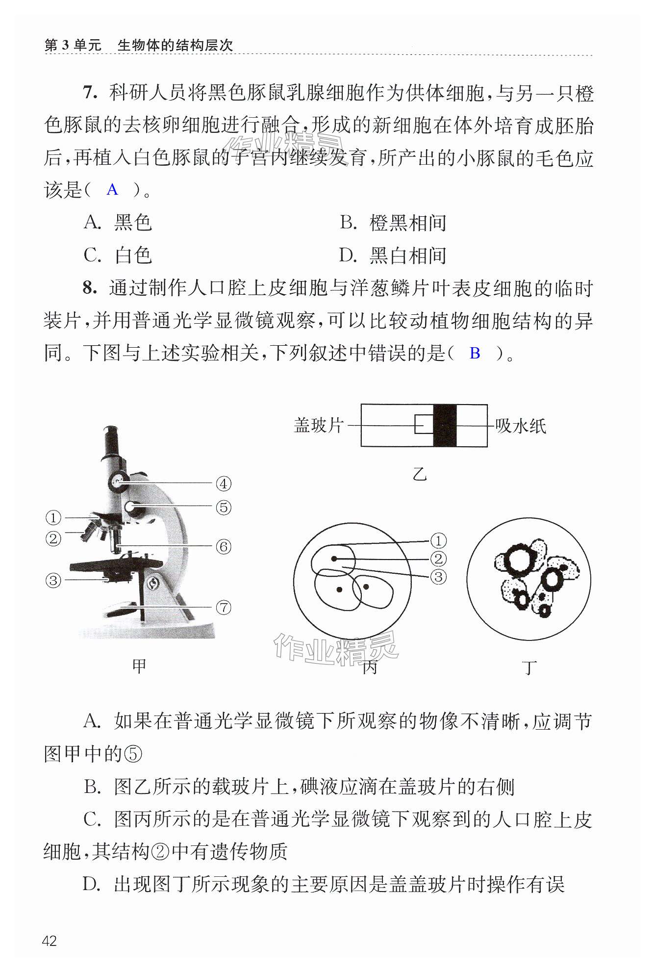 第42页