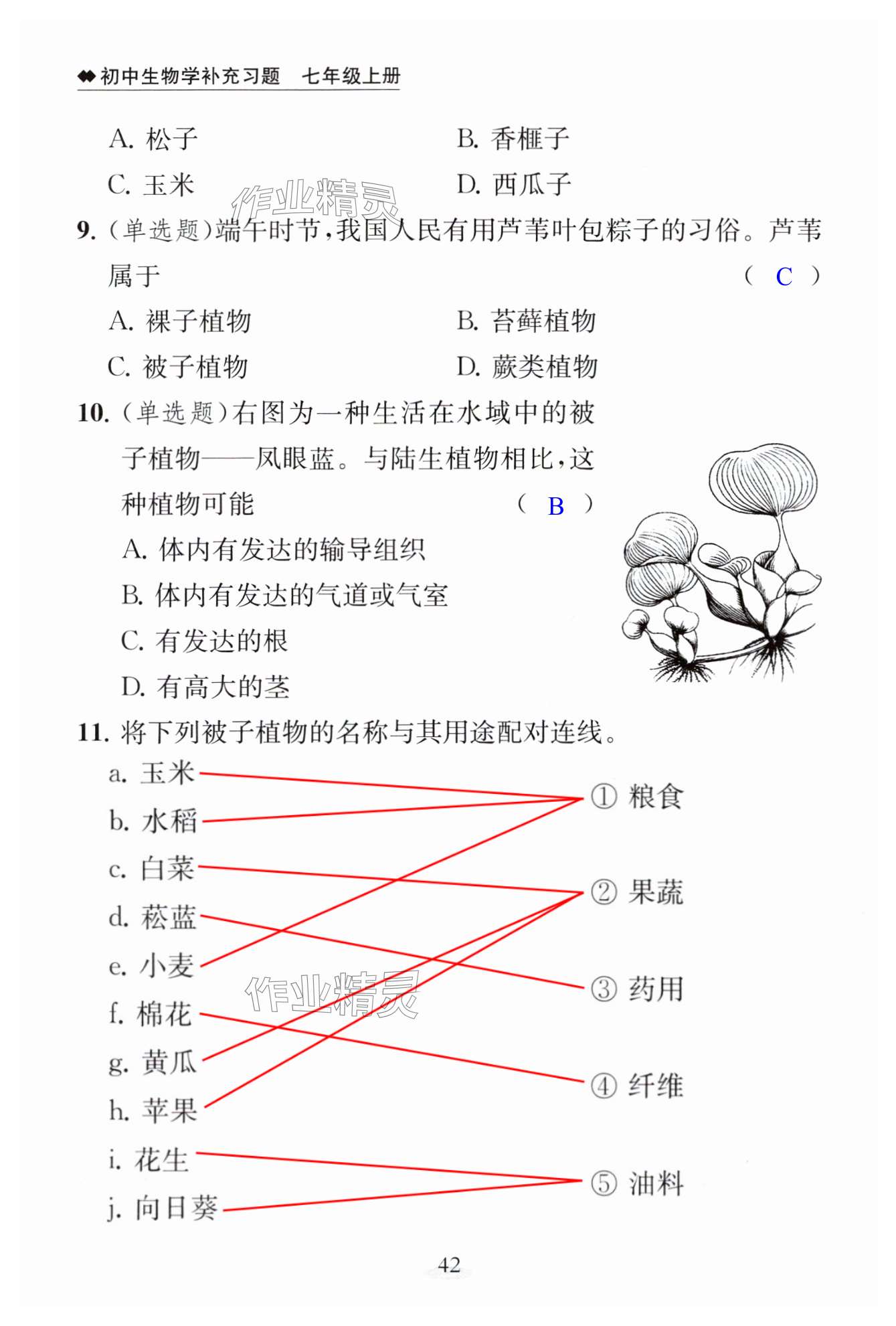 第42页