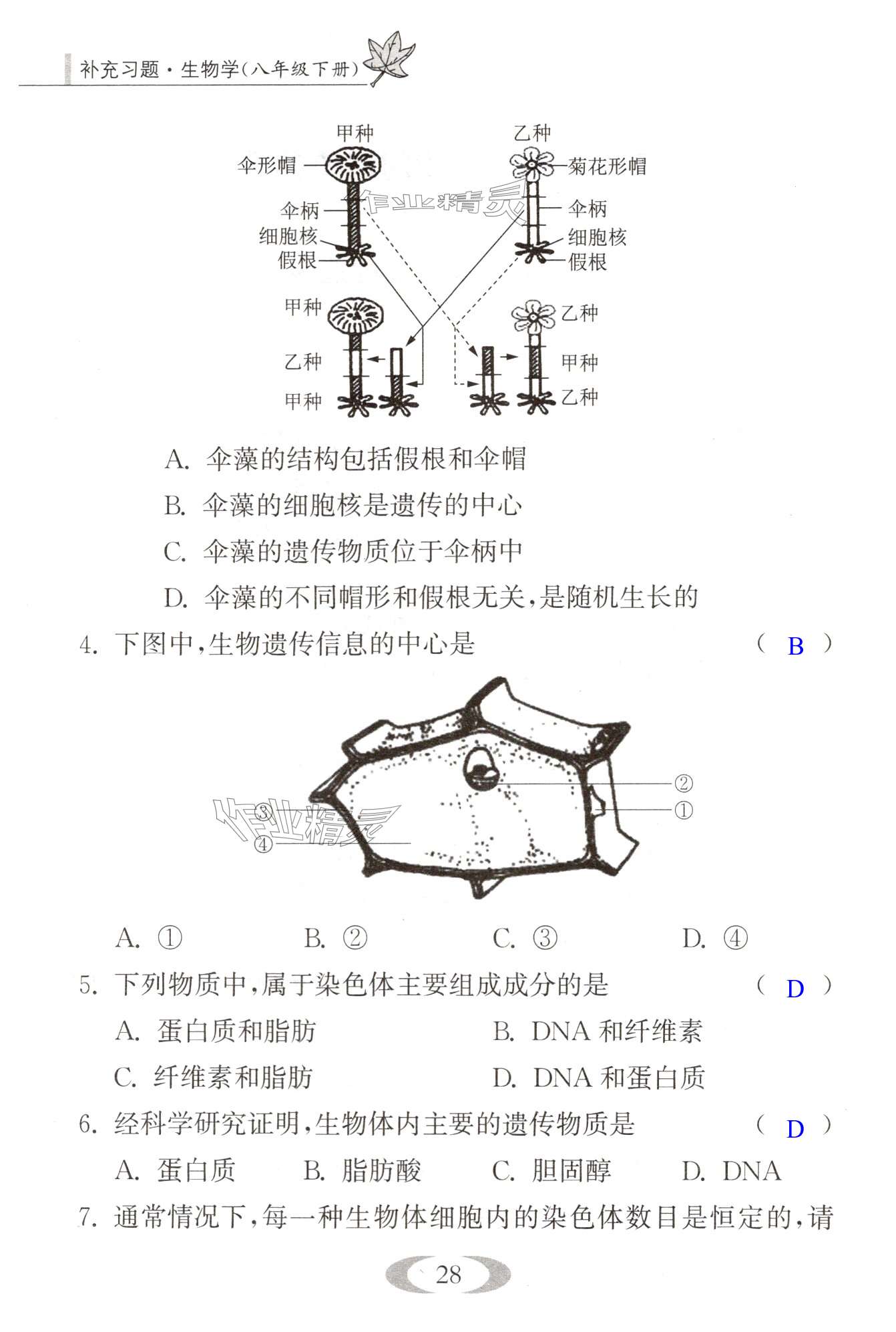 第28页