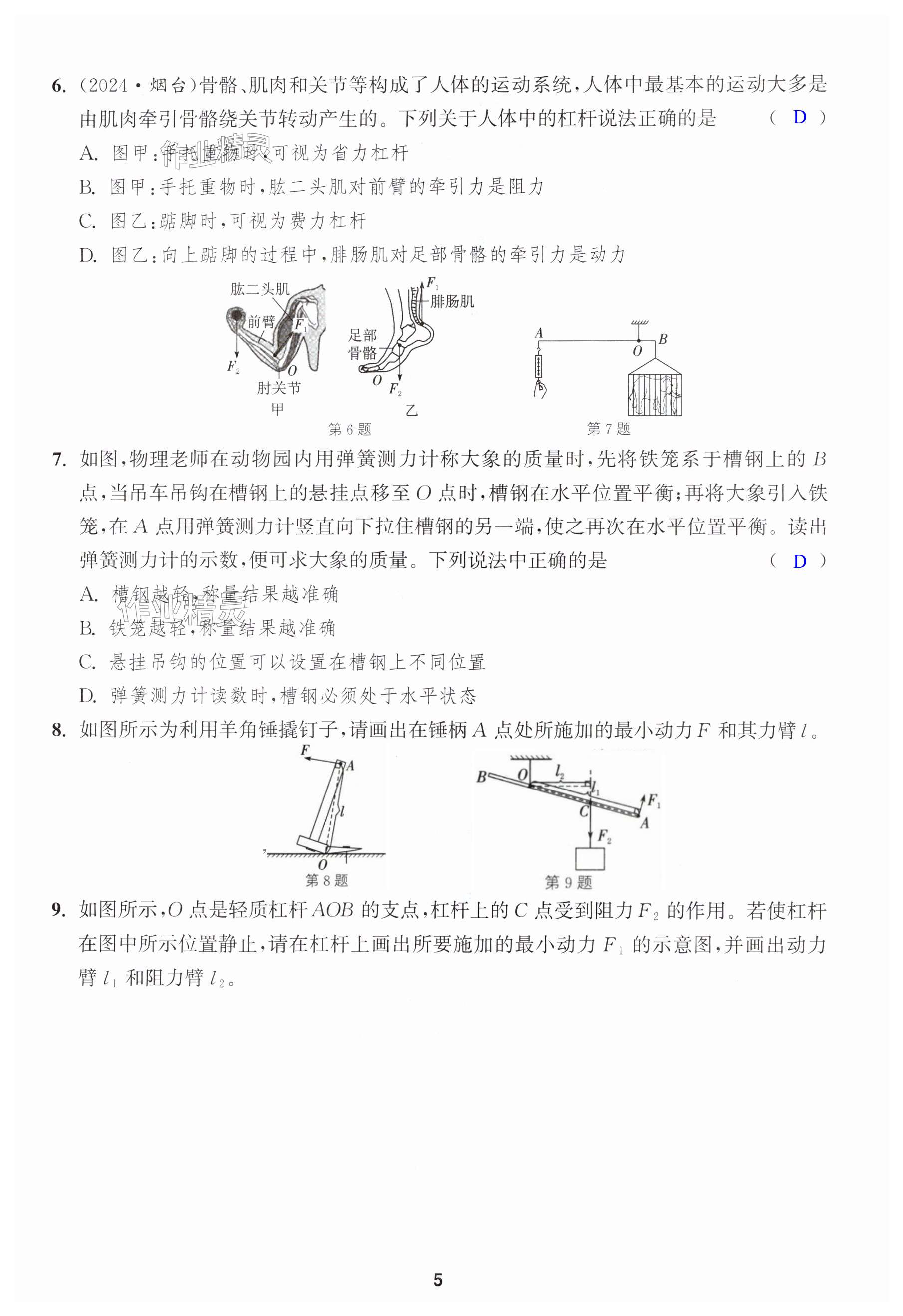 第5页