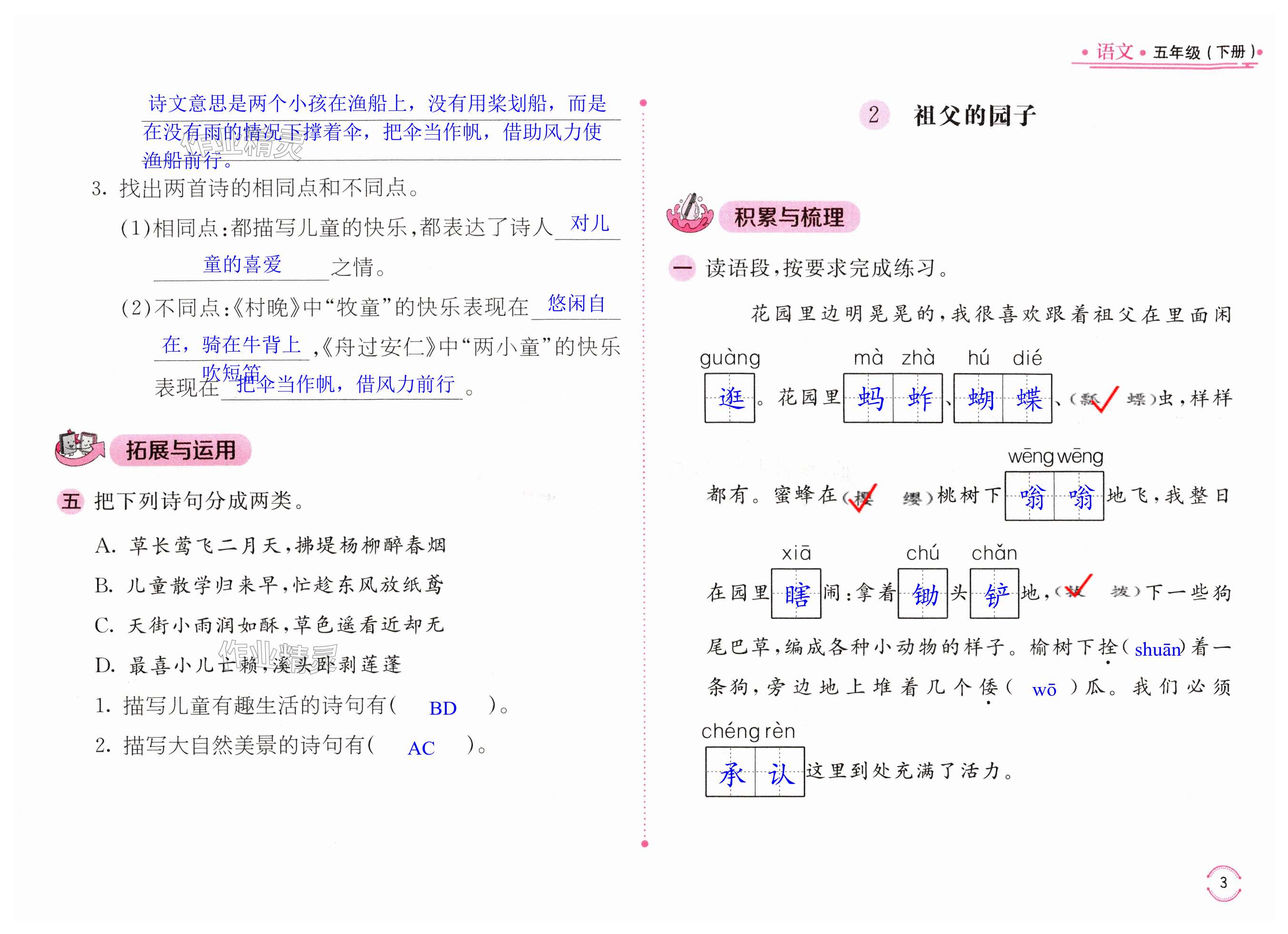 第3页