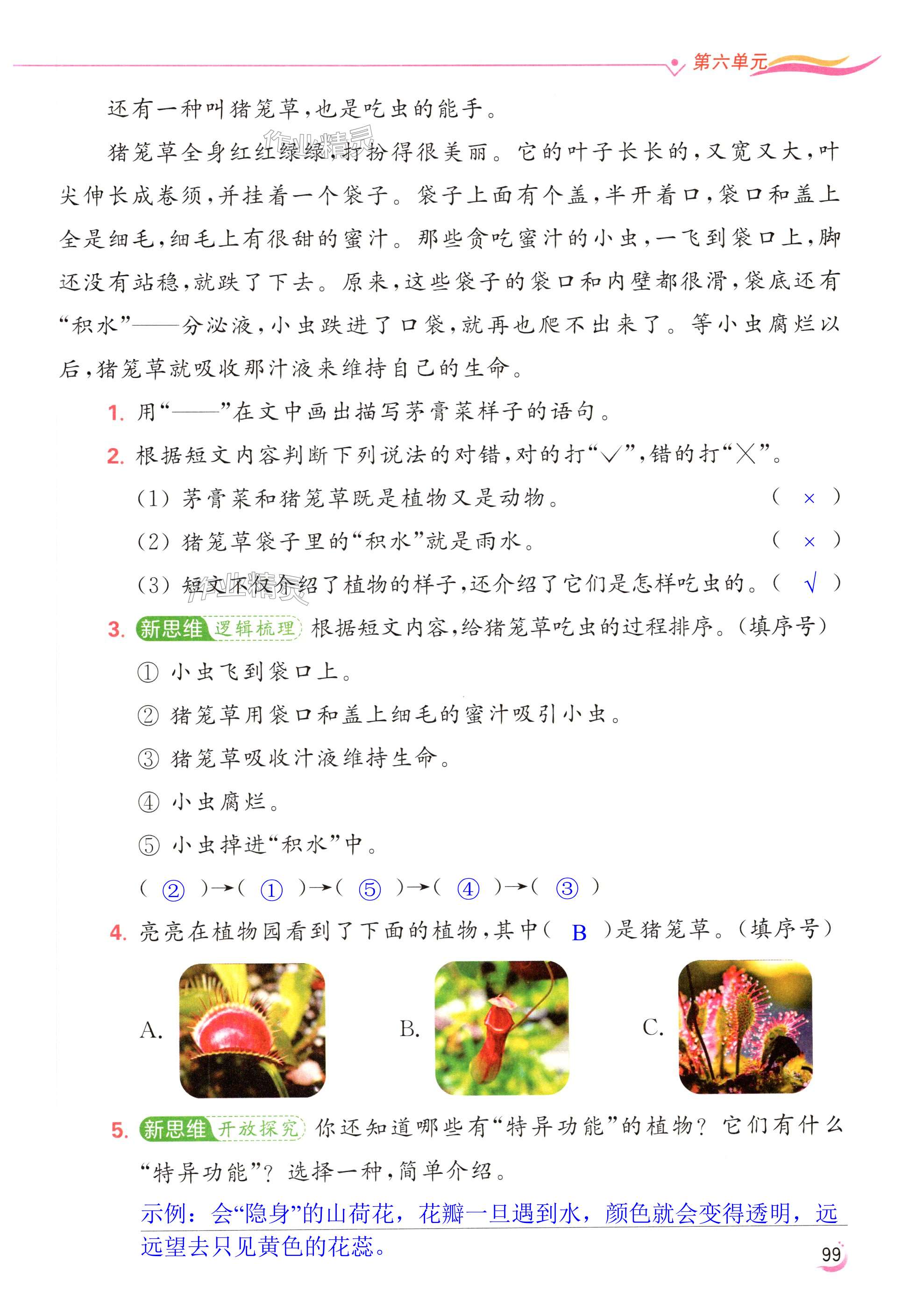 第99页