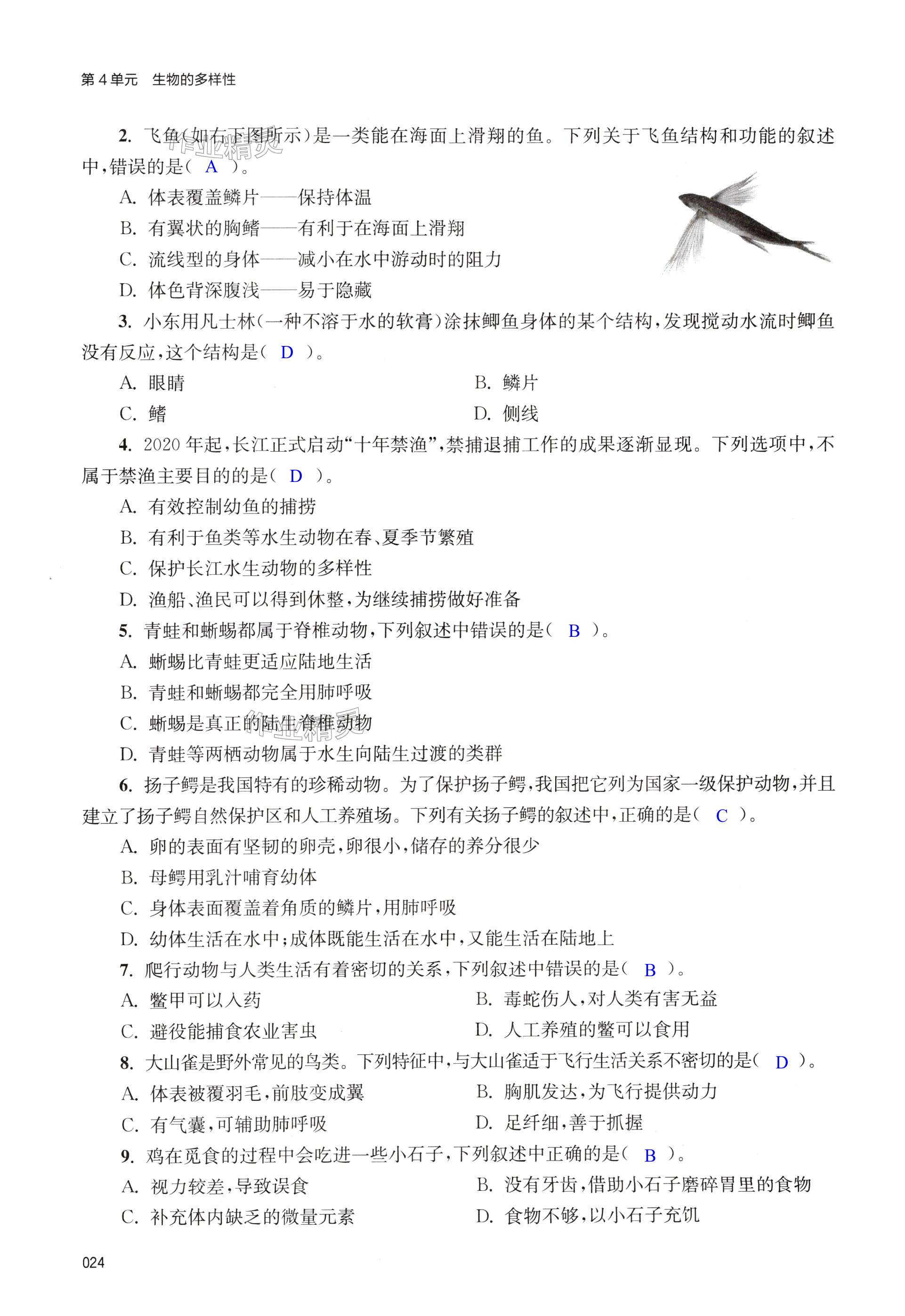 第24页
