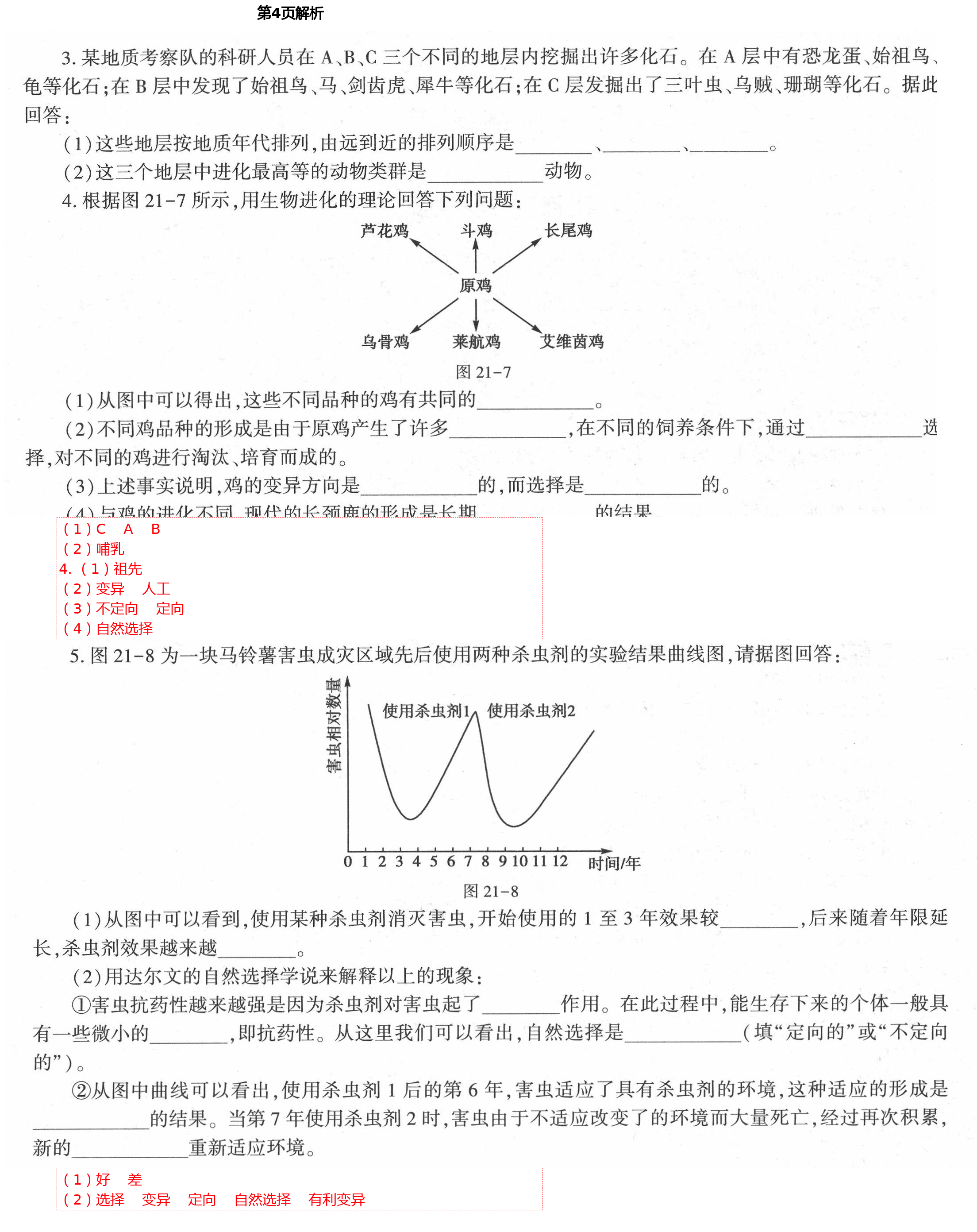 2021年基礎(chǔ)訓(xùn)練八年級(jí)生物下冊(cè)北師大版大象出版社 第4頁(yè)