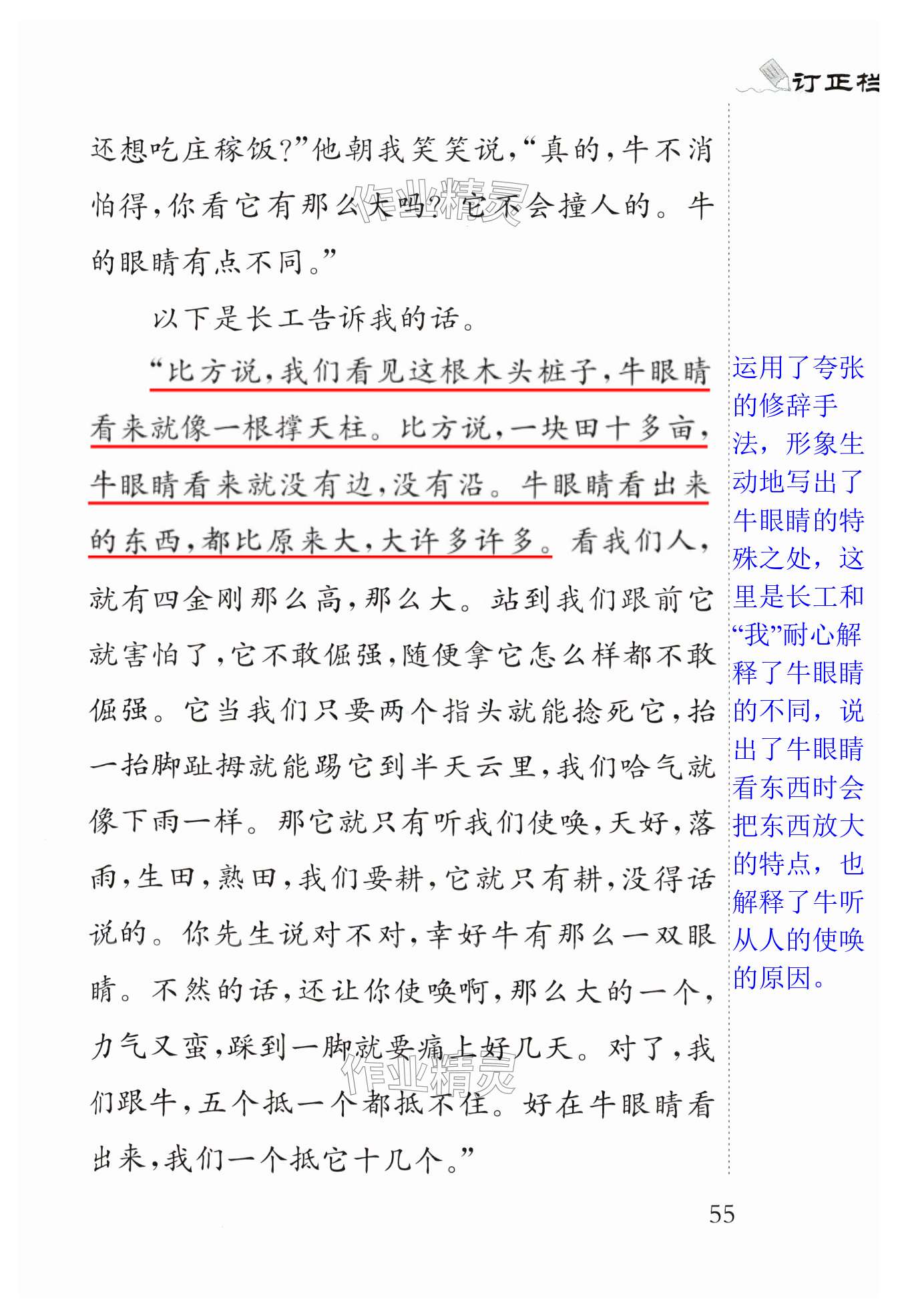 第55页