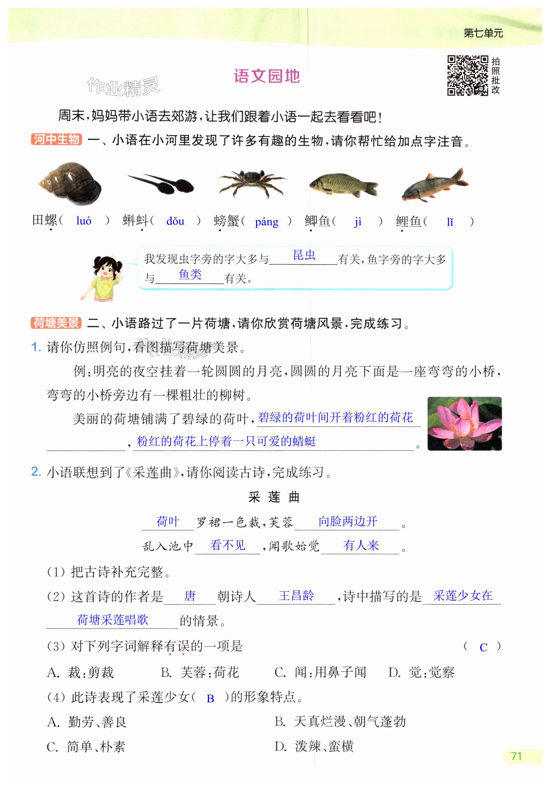 第71页