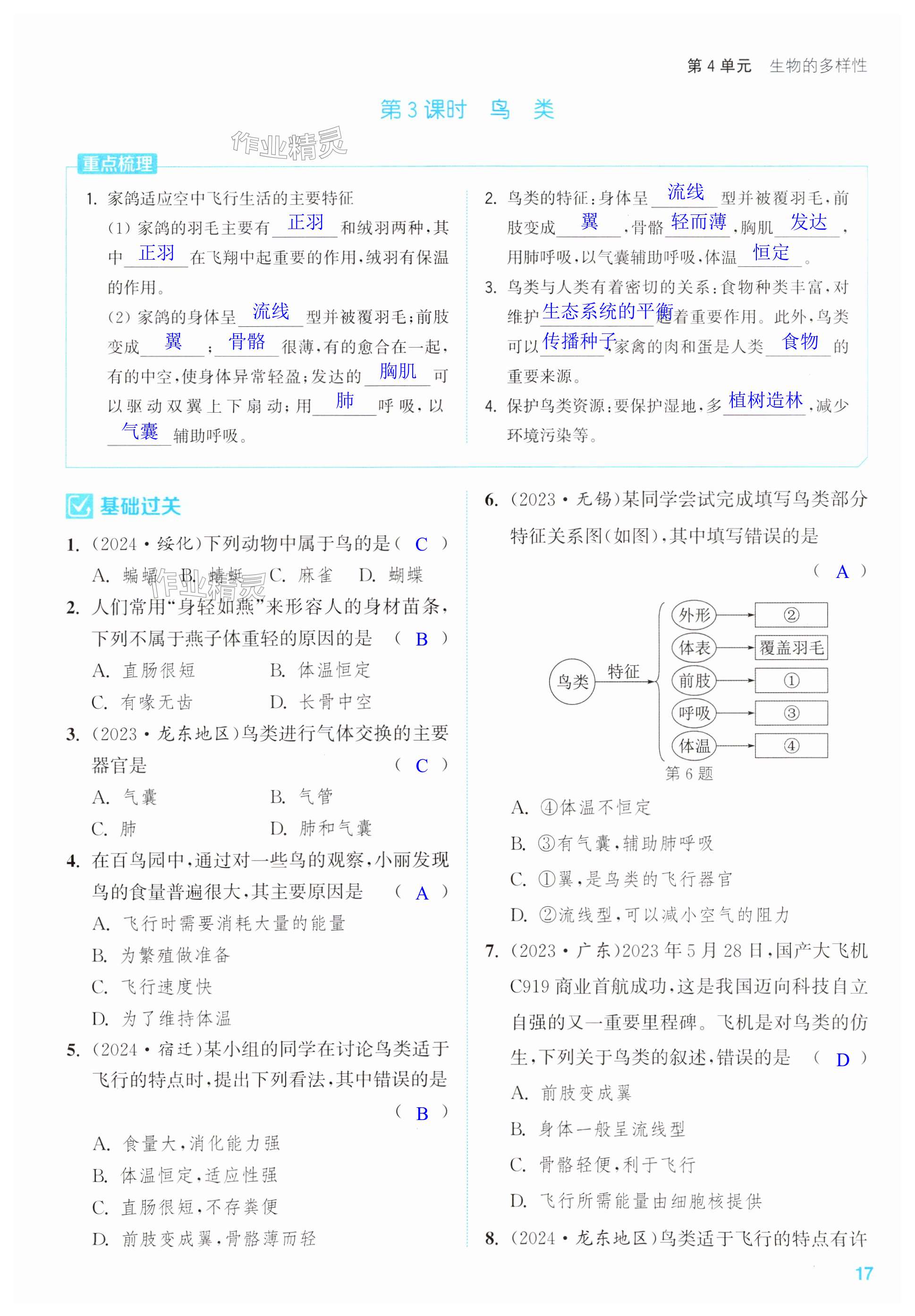 第17页