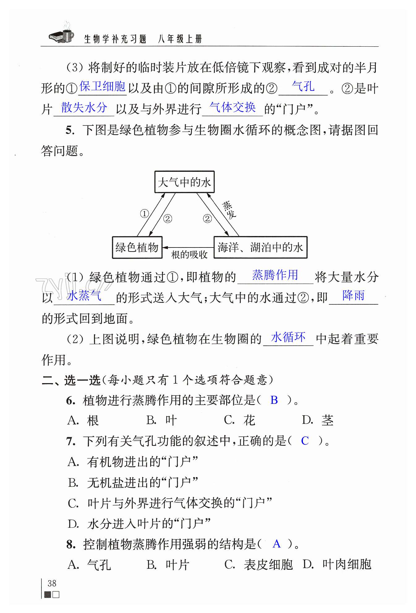 第38页