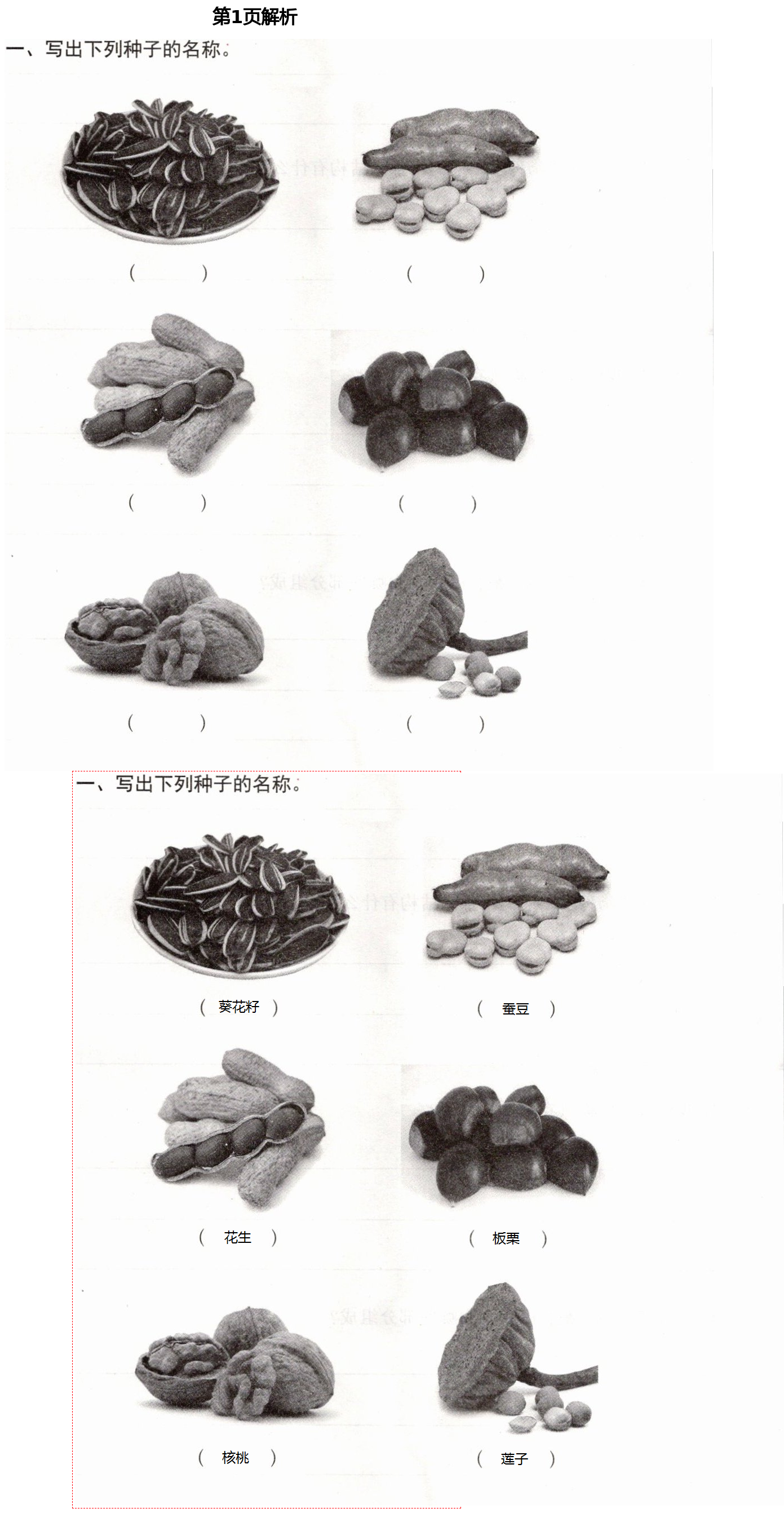 2021年新思維伴你學(xué)四年級(jí)科學(xué)下冊(cè)教科版 第1頁