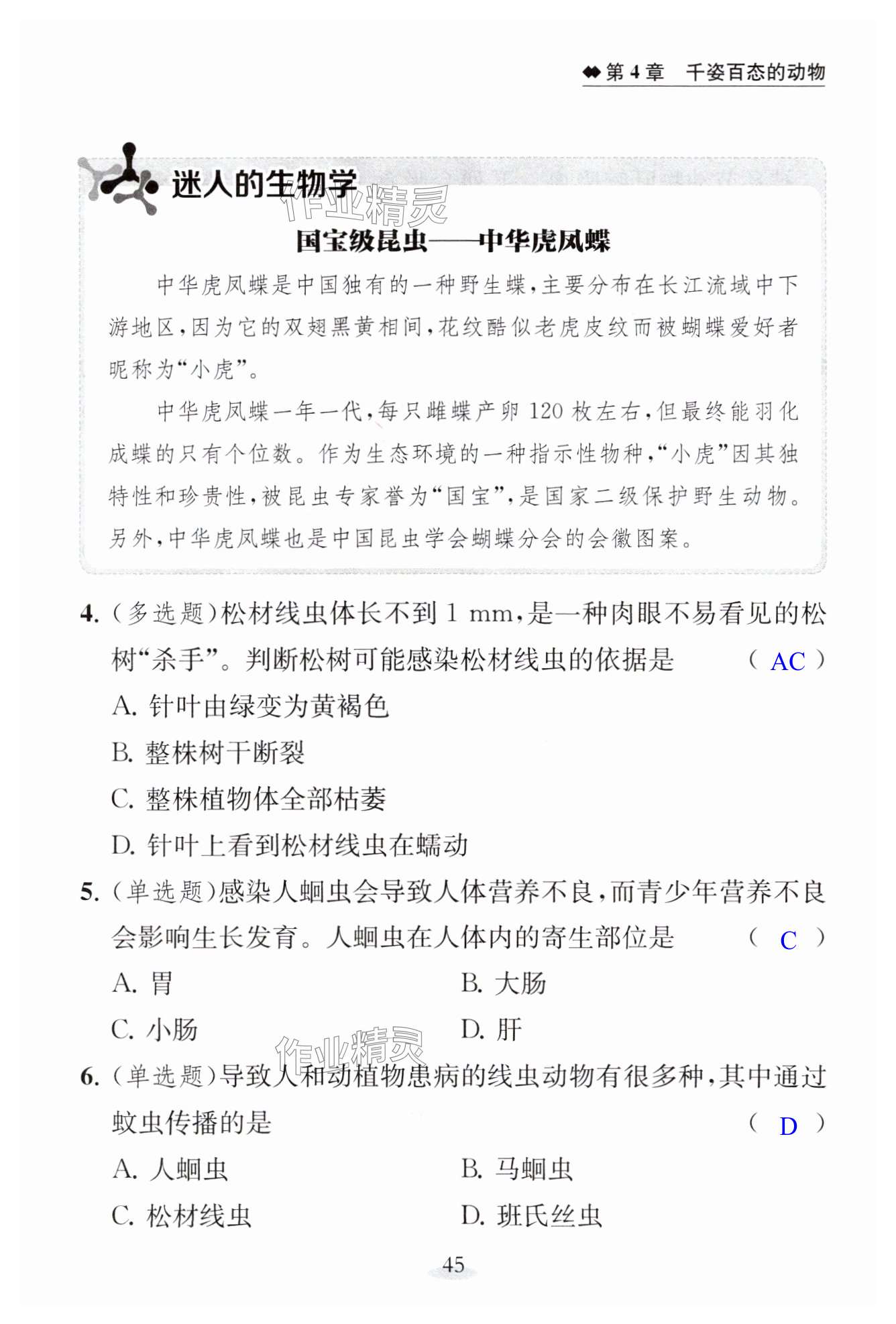 第45页