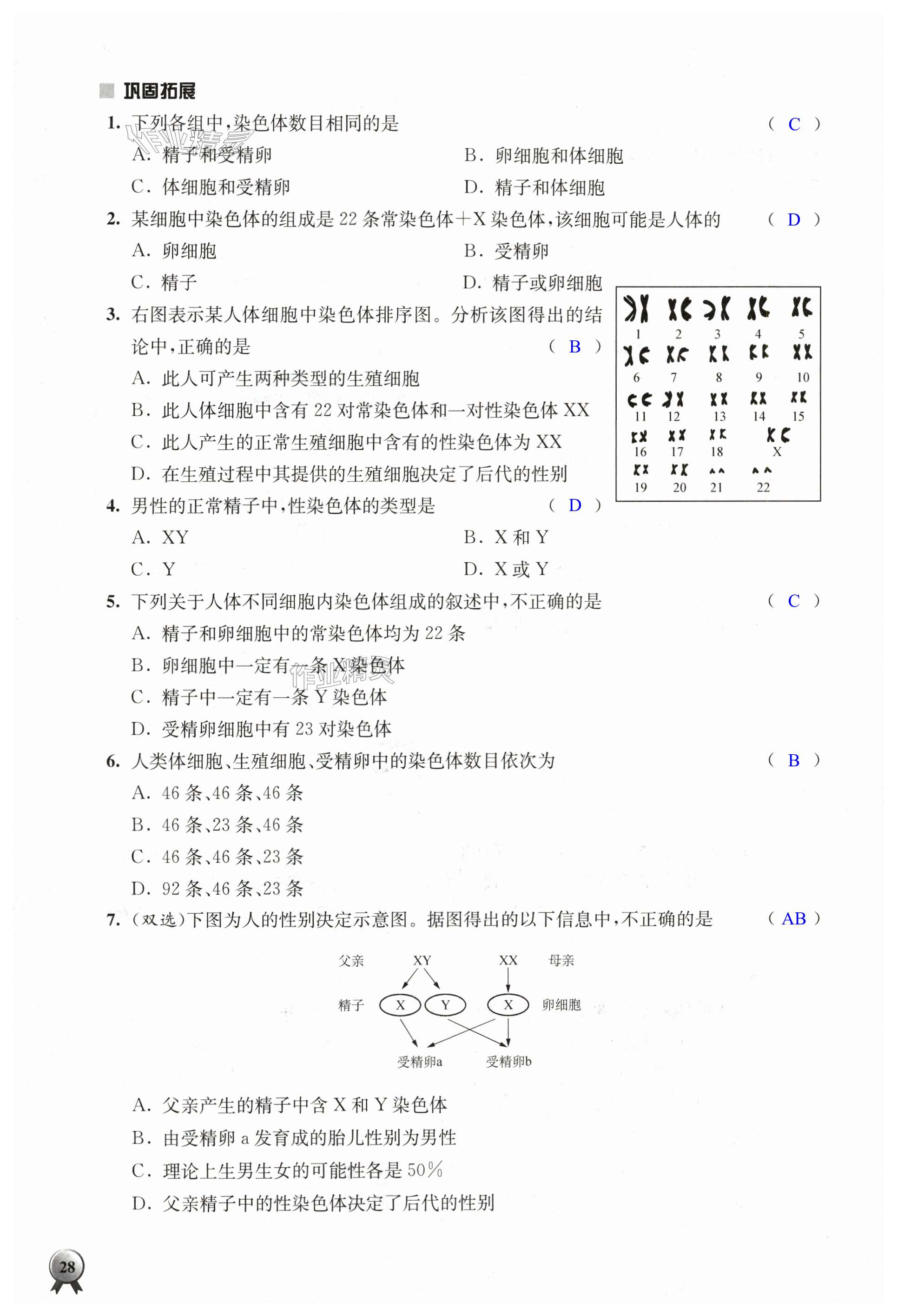 第28页