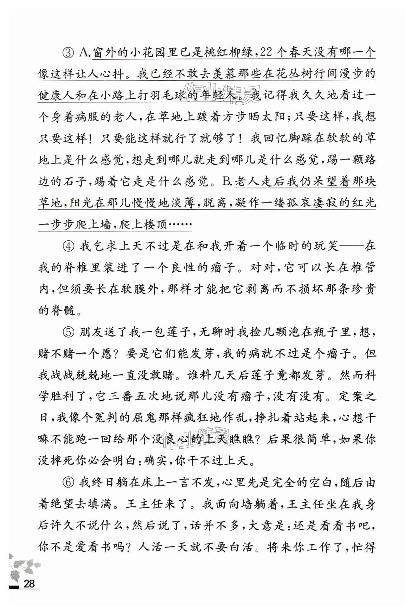 第28页