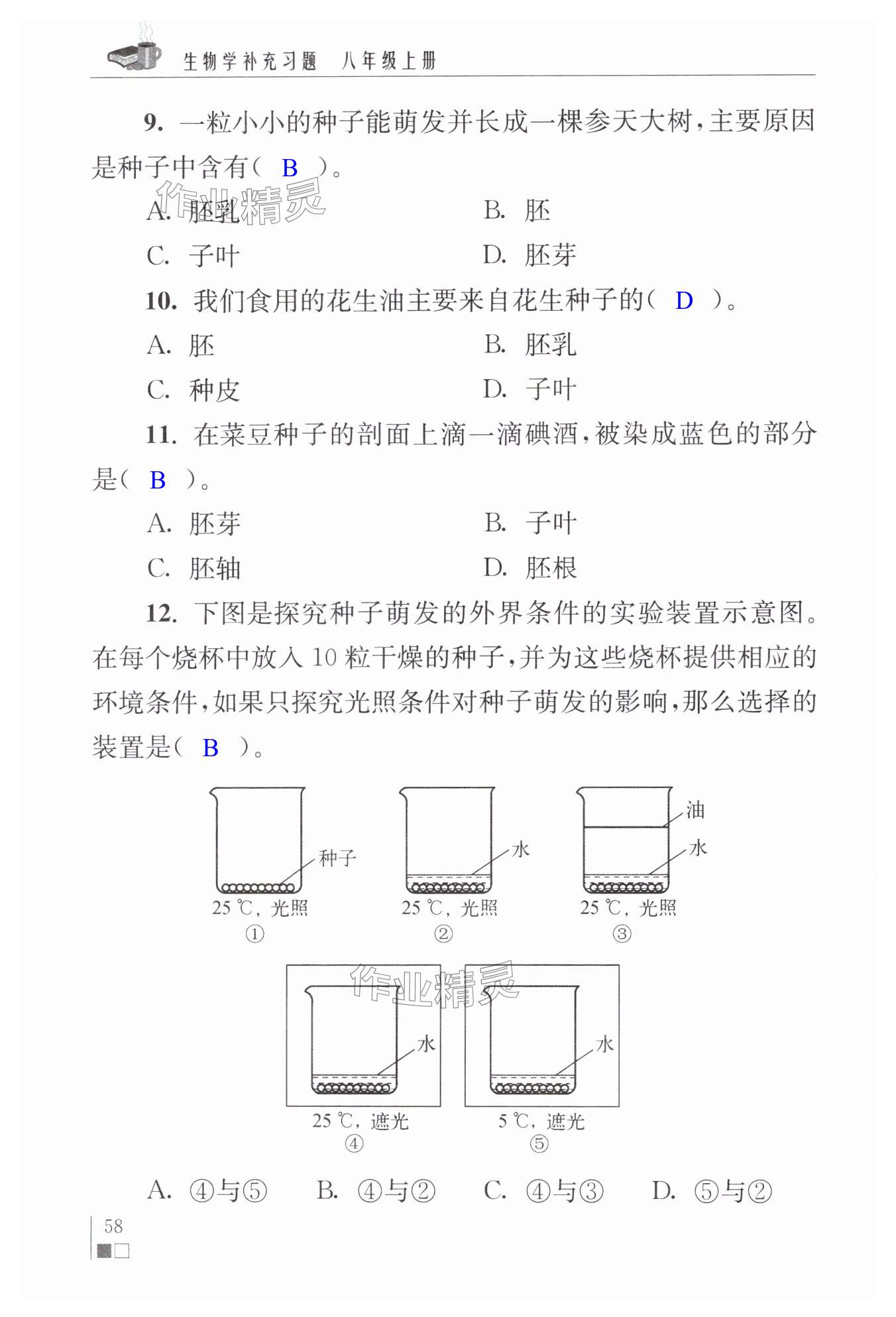 第58页