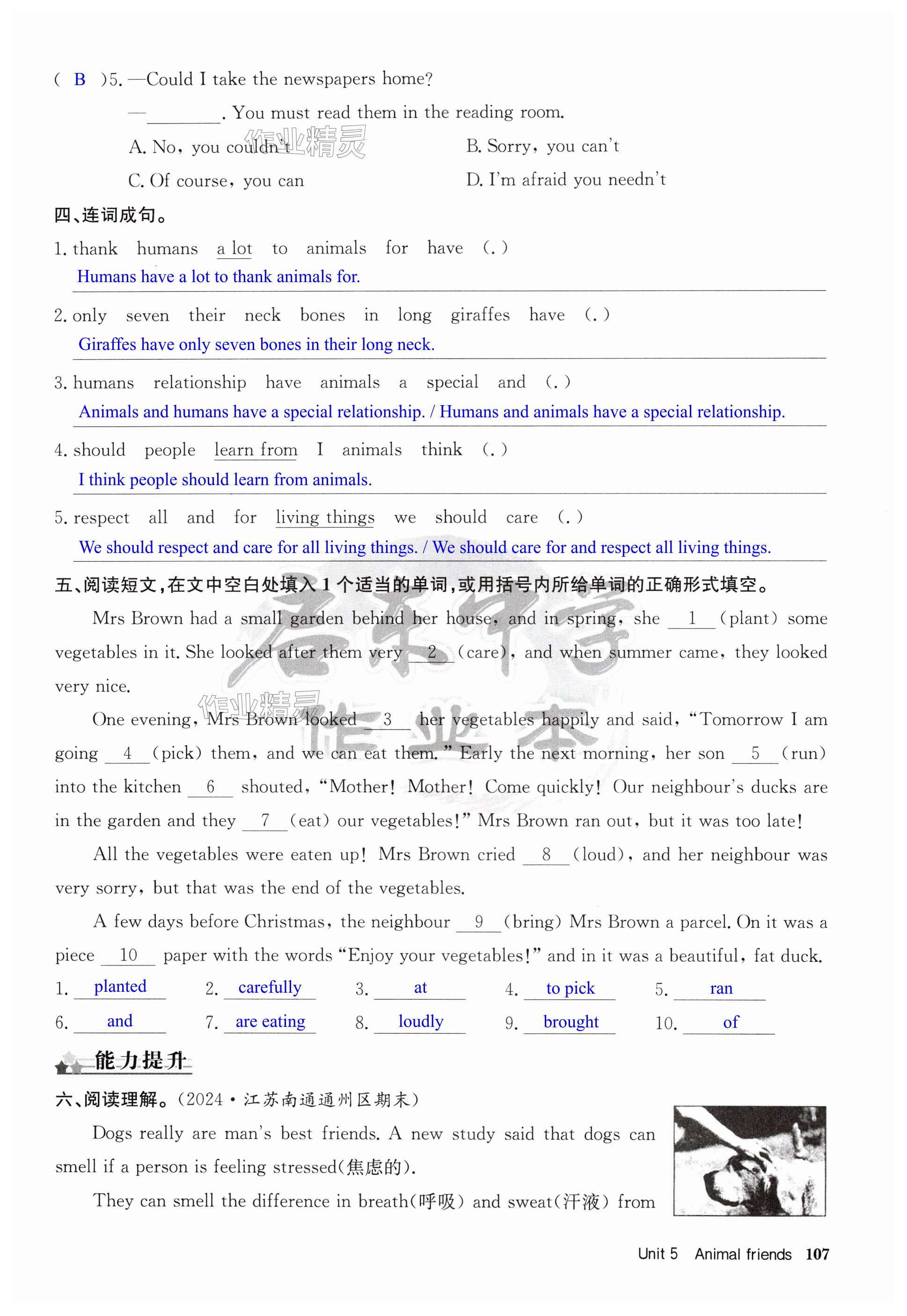 第107页