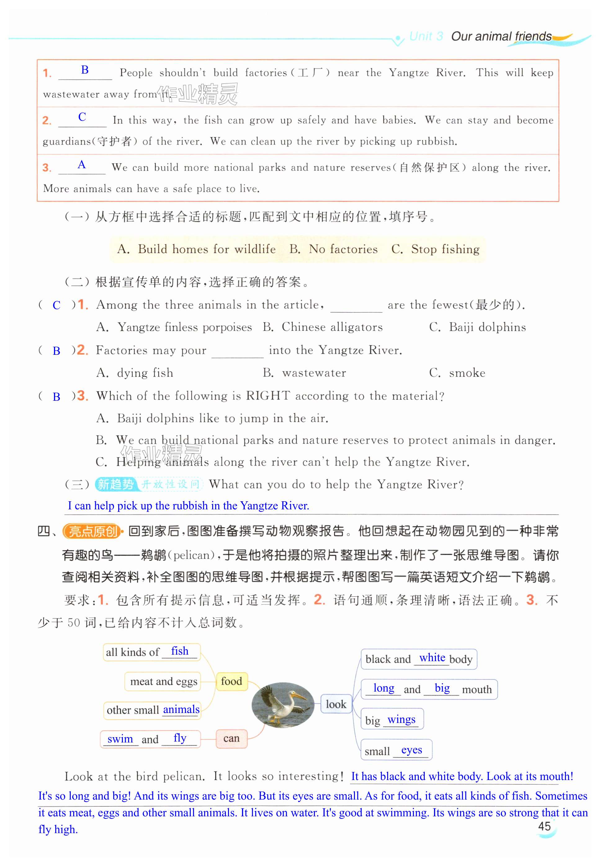 第45页