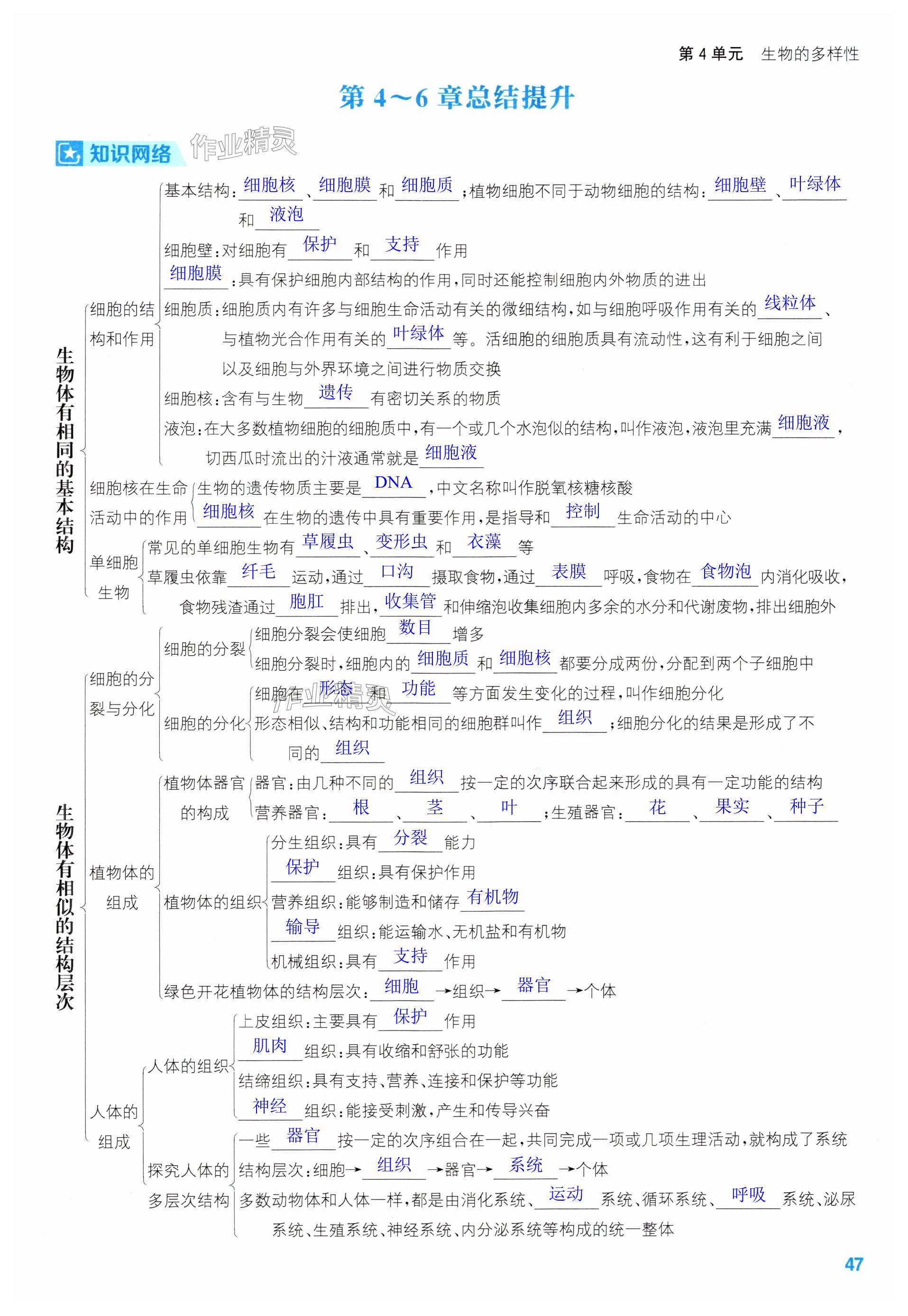 第47页