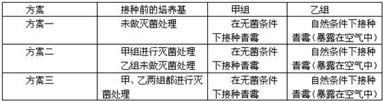 魔方格