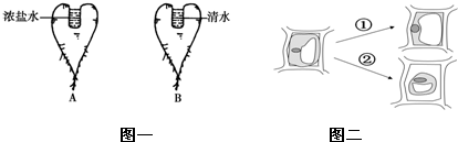 魔方格