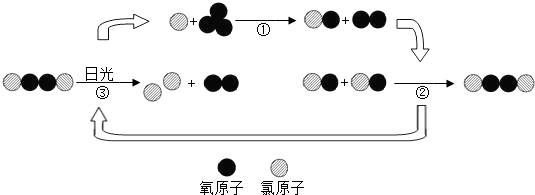 精英家教网