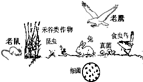 魔方格