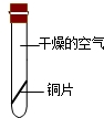 精英家教网
