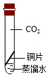 精英家教网
