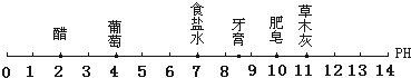 ��Ӣ�ҽ���
