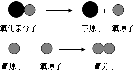 ��Ӣ�ҽ���