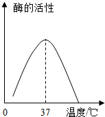 ��Ӣ�ҽ���
