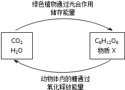 ��Ӣ�ҽ���