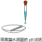��Ӣ�ҽ���