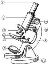 如图显示的是显微镜的几个操作步骤.正确的顺