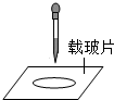 ��Ӣ�ҽ���
