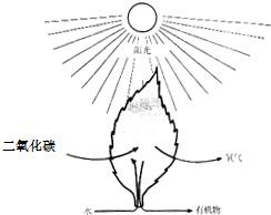 魔方格