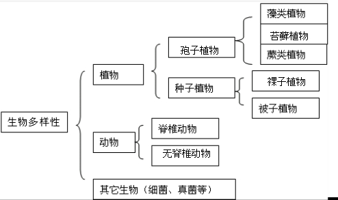 确切地说,生物多样性包括包括地球上所有的植物,动物和微生物及其所