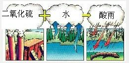 下图是酸雨的形成示意图.看图回答:(1)请在图中方框里填上适当的词.(2)酸雨的有害成分是图中的 .(3)酸雨能腐蚀 和户外 .使 枯萎.甚至能伤害人的 和 .(4)酸雨不一定是 有害排放物造成的.因为气体和云朵都是随风漂移的.图二氧化硫水蒸气. 题目和参考答案