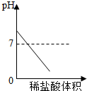 ��Ӣ�ҽ���