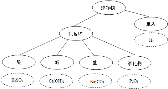 学历性质怎么填