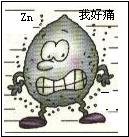 ��Ӣ�ҽ���