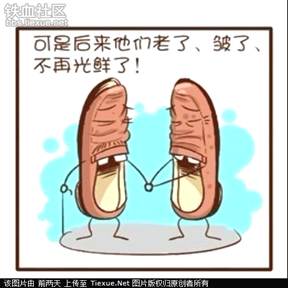 为纪念世界反法西斯战争胜利67周年.班级拟开