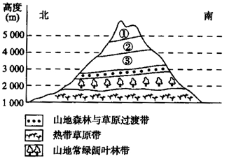 高中地理 题目详情 下图为某山地垂直自然带的分布图,读图回答下列各