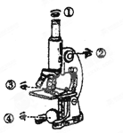 使用显微镜的正确步骤是①对光.直到整个视野