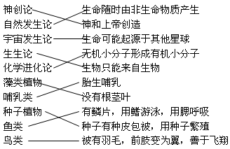 世界人口时钟网站_时钟图片卡通(2)