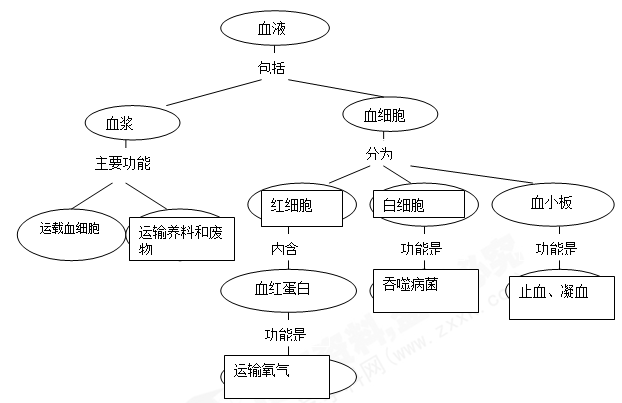 填写知识概念图(每空2分)