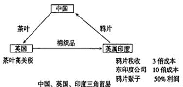 (20分)消费与人类生活密切相关,体现着社会的发展与